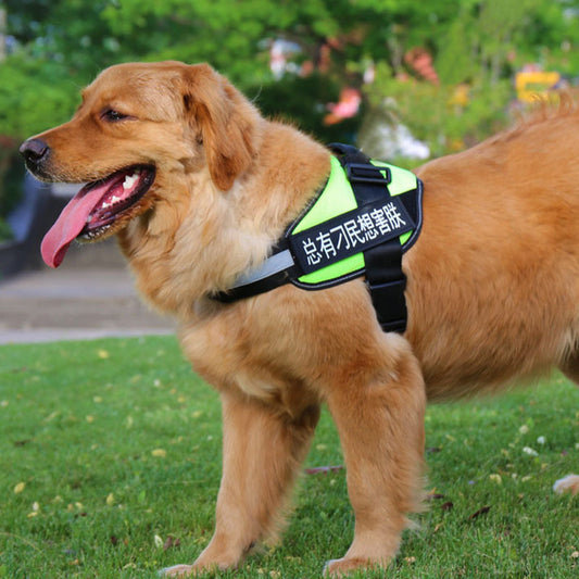 Adjustable Chest Harness